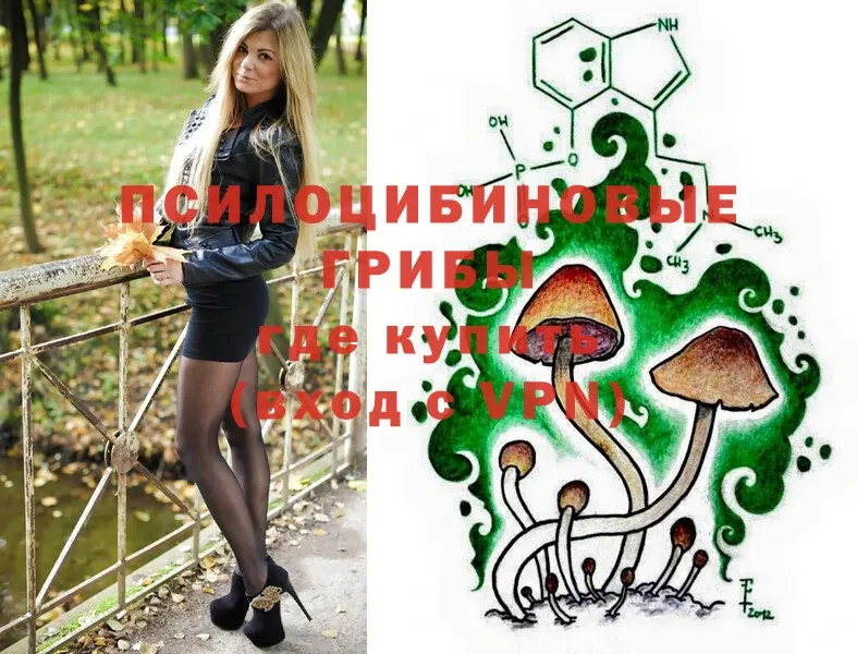 Галлюциногенные грибы Psilocybe  Ревда 